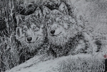 朴永哲钢笔画《温和家族之二》狼群图